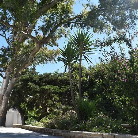 Maria In Tinos - Eva House Tripótamos